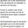 Wildpluk wandeling - Afbeelding 4
